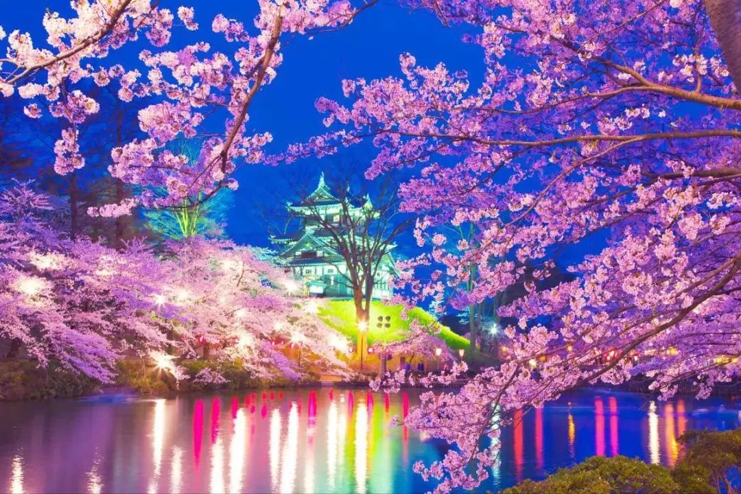 小仙女日本旅行攻略，美景、美食、购物、休闲一网打尽！