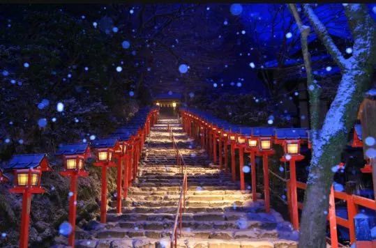 【小蘑菇广播台】| 冬季日本旅游攻略