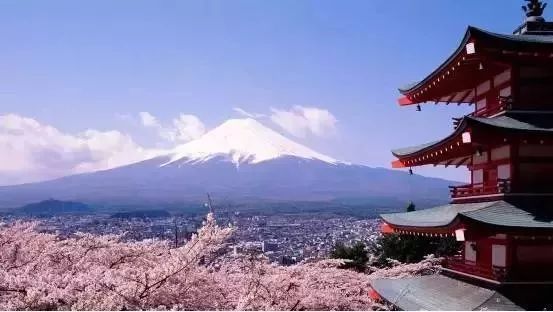 小仙女日本旅行攻略，美景、美食、购物、休闲一网打尽！