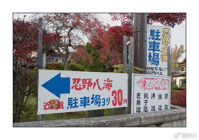 日本：史上最好的山梨秋色自由行攻略